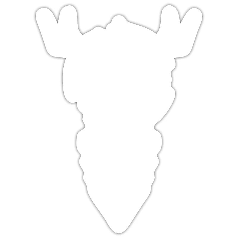 Polygone de Hirsch
