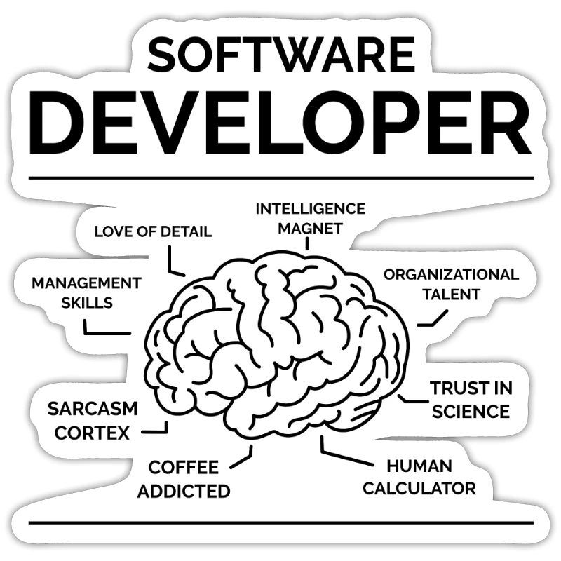 Software Developer