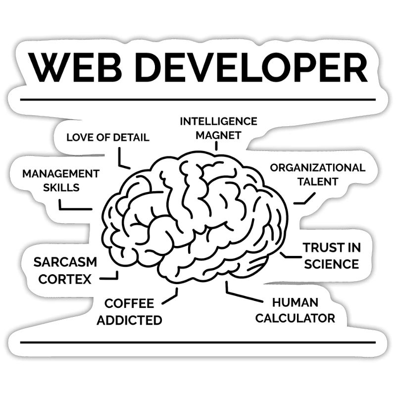 Web Entwickler Programmierer