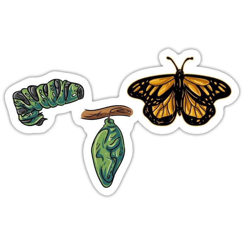 Evolution Schmetterling