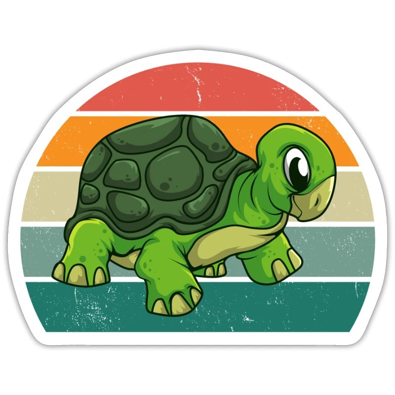 Turtles Turtle Shell Lizard Reptiles