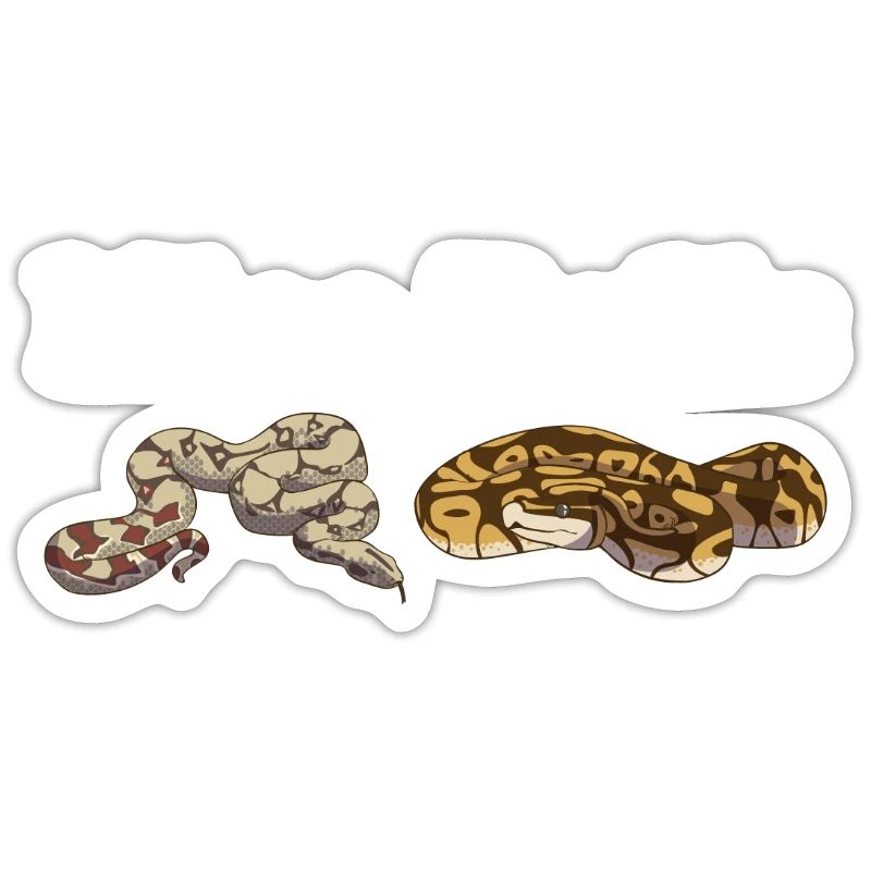 Funny Ball Python Snake