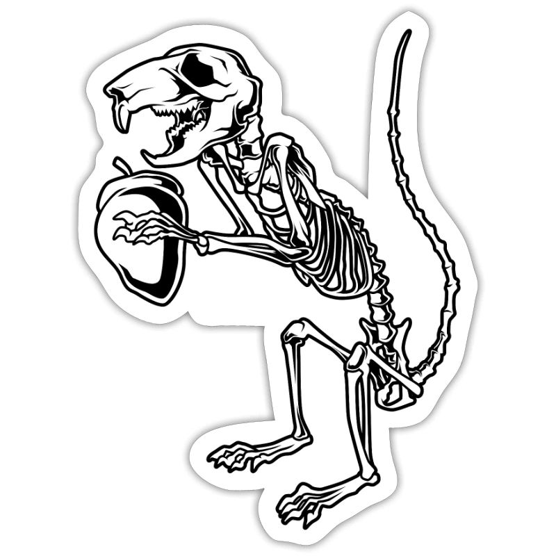 Squirrel Skeleton - Aestethic Goblincore