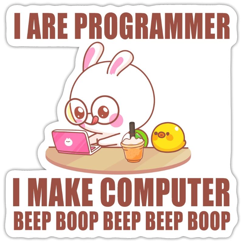 I are programmer