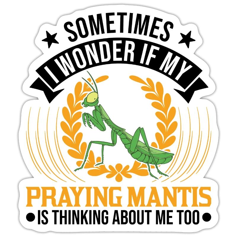 Praying mantis Gift Mantis Mantis