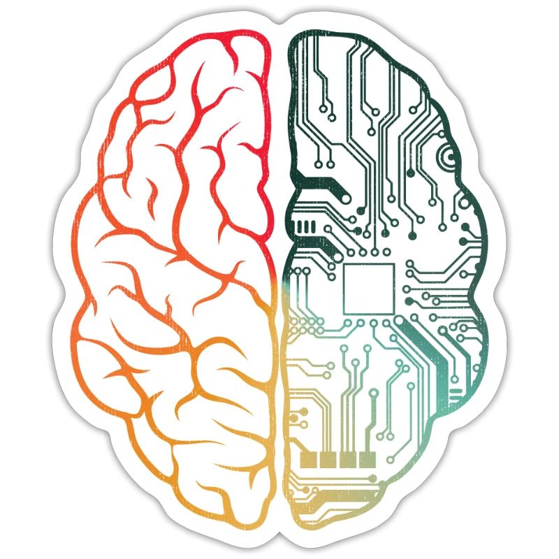 Programmierer Coding - Entwickler Programmieren Gehirn