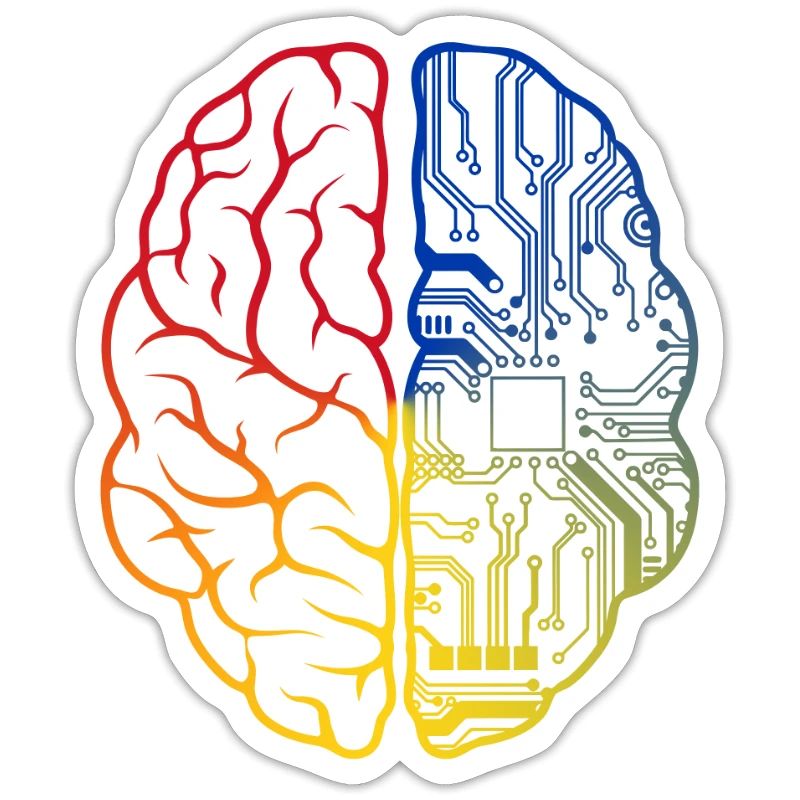 Programmeur HTML - Développeur Programmation Brain Fun