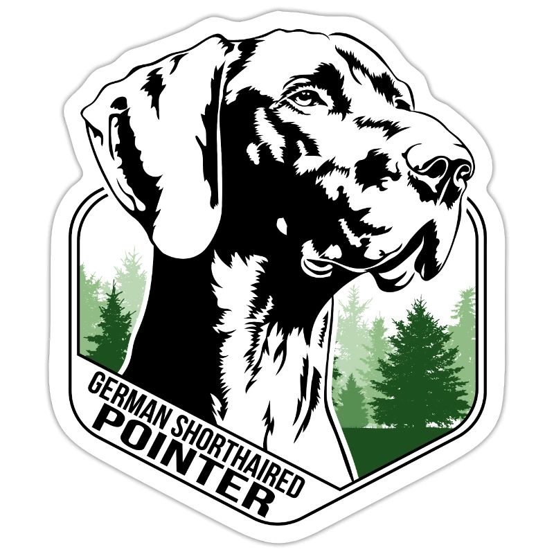 German Shorthaired Pointer Hund Wilsigns Jagdhunde