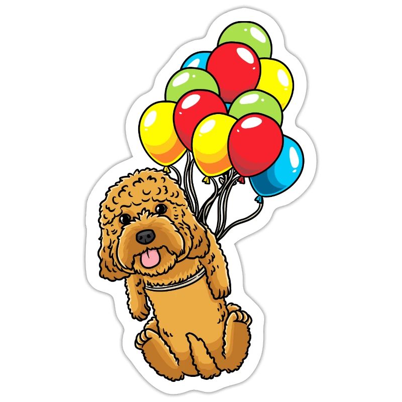 Cockapoo chien avec ballons