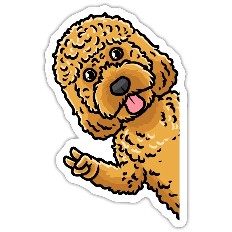 Cockapoo dog from side