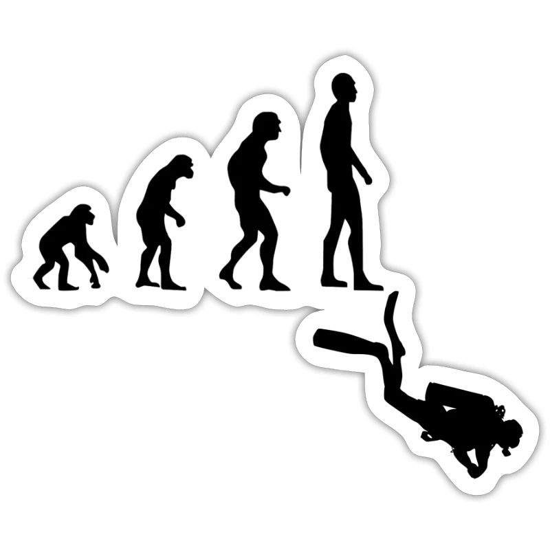 Evolution Diving