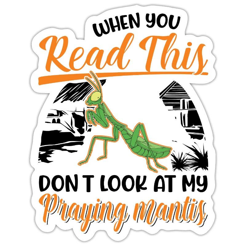 Praying mantis Gift Mantis Mantis