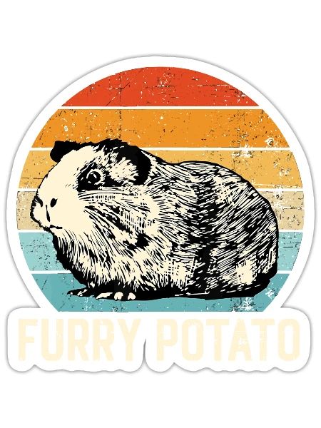 Idée cochon d’Inde, pomme de terre à fourrure - Sticker taille S (10 x 10 cm) - blanc mat - Devant