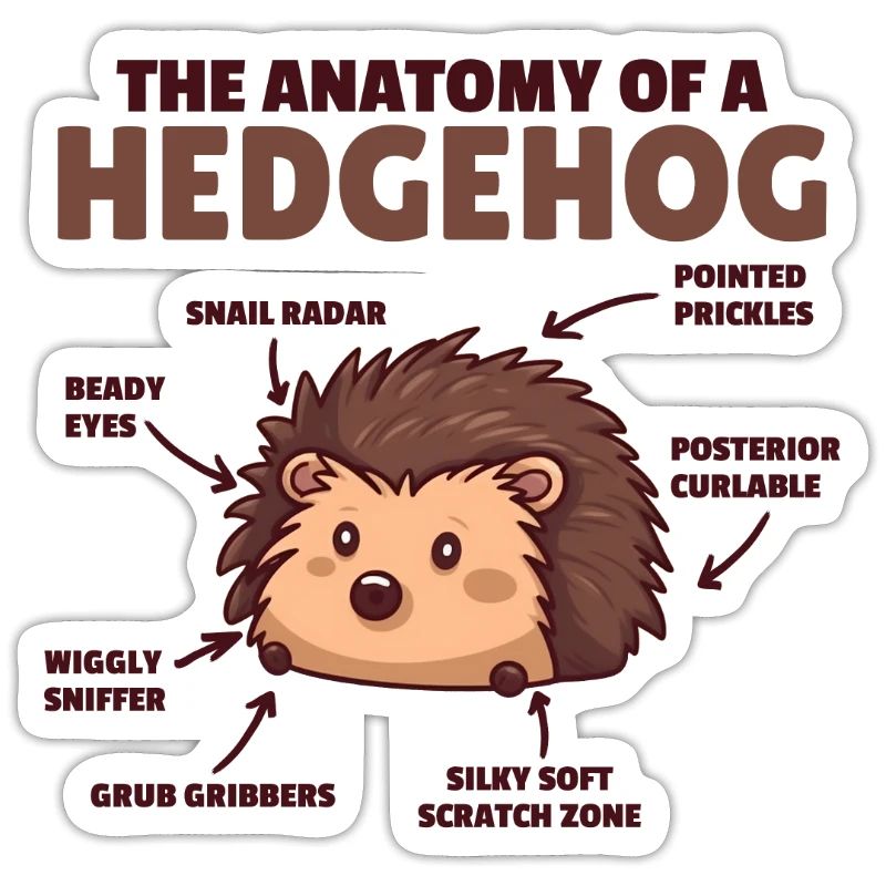 explication de hérisson mignon Anatomie d’un hérisson