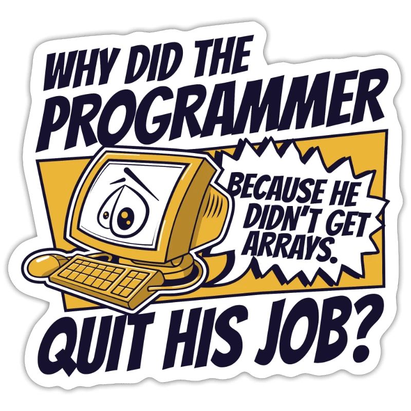 Why Did Programmer Quit Job Developer Coder