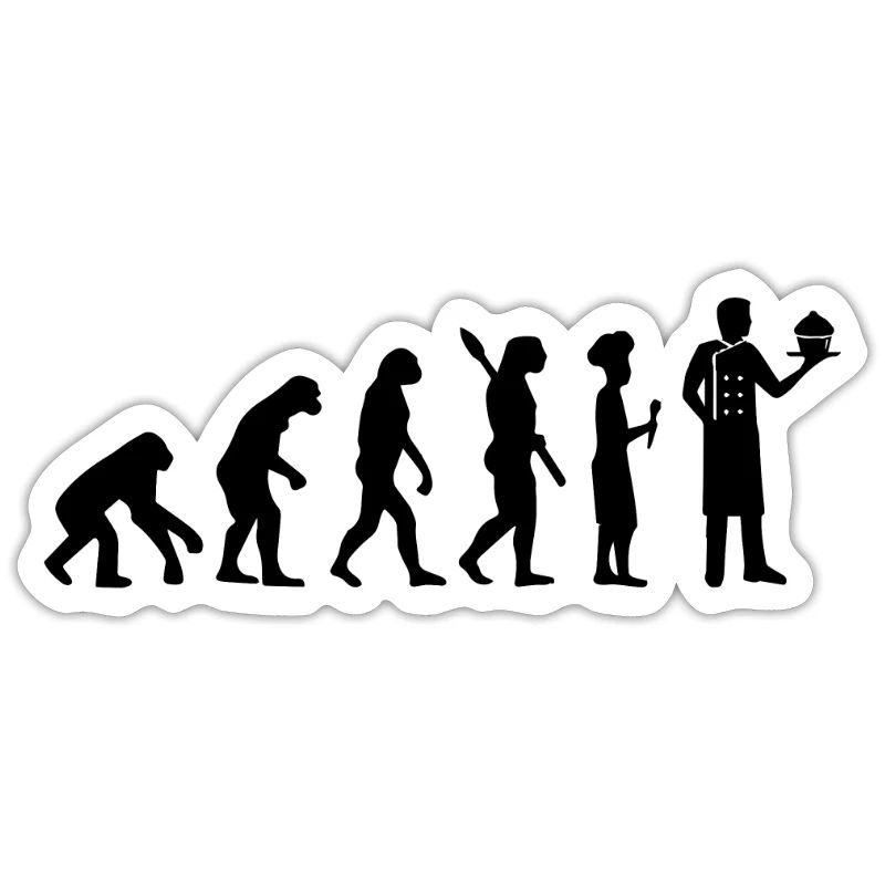 Chef Evolution Chef Cook Professional Food Cooking