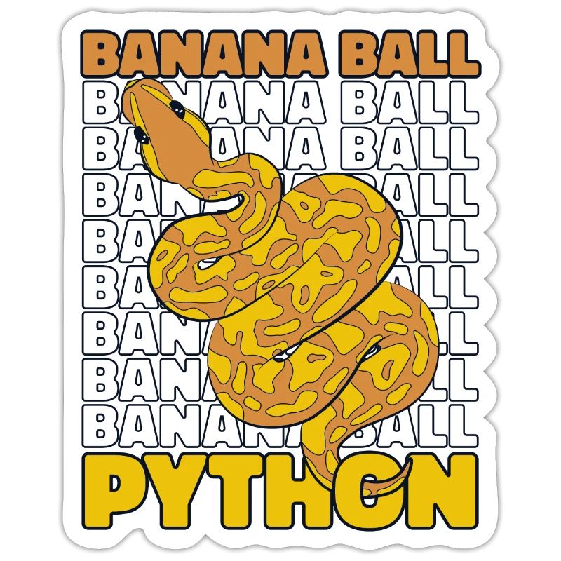 Boule de banane Python Serpent Python Boule de banane