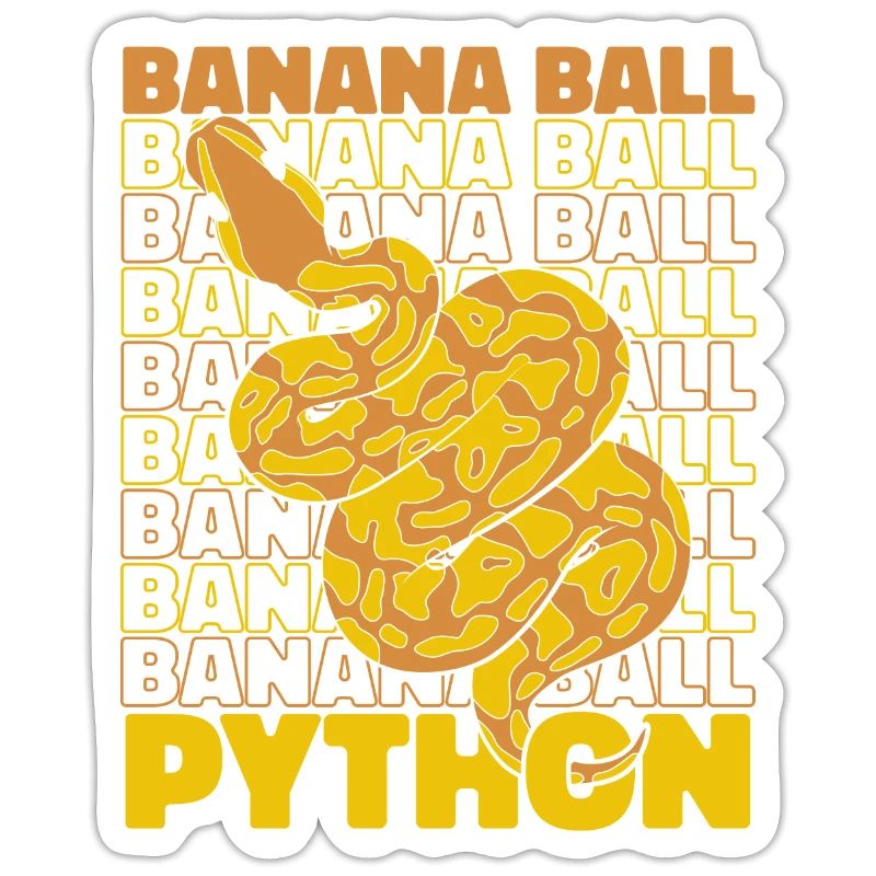 Boule de banane Python Serpent Python Boule de banane