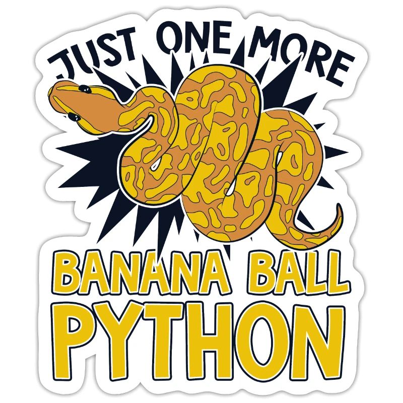 Juste un serpent de plus Python Banana Ball Python