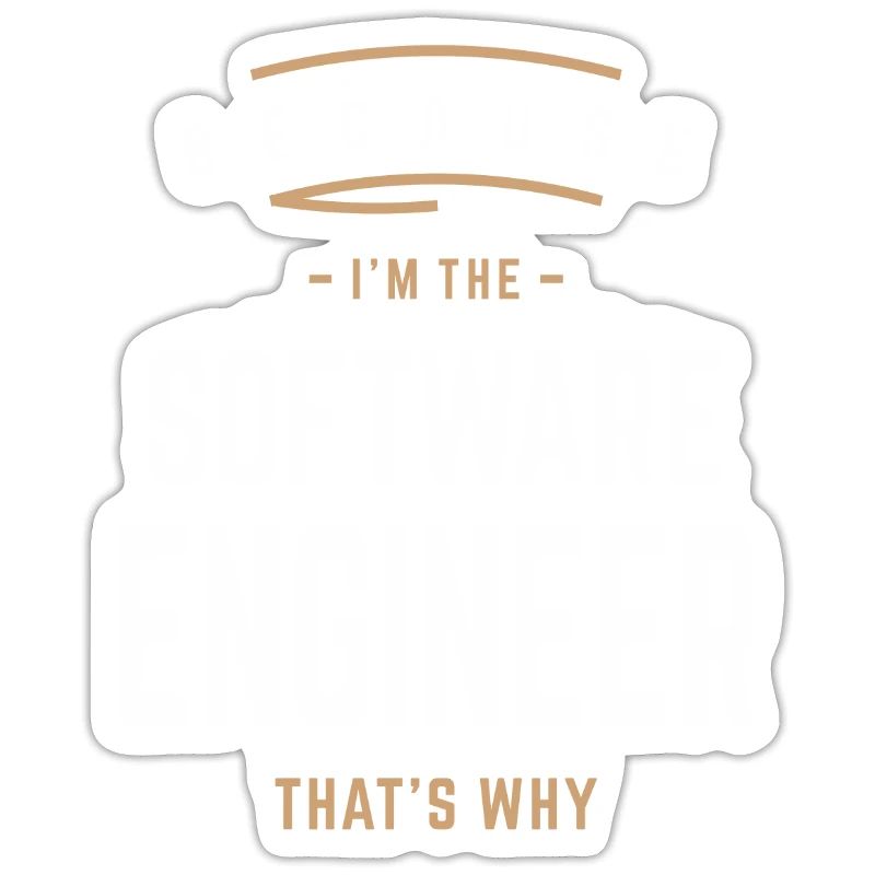 Because I'm the Software Engineer, That's Why
