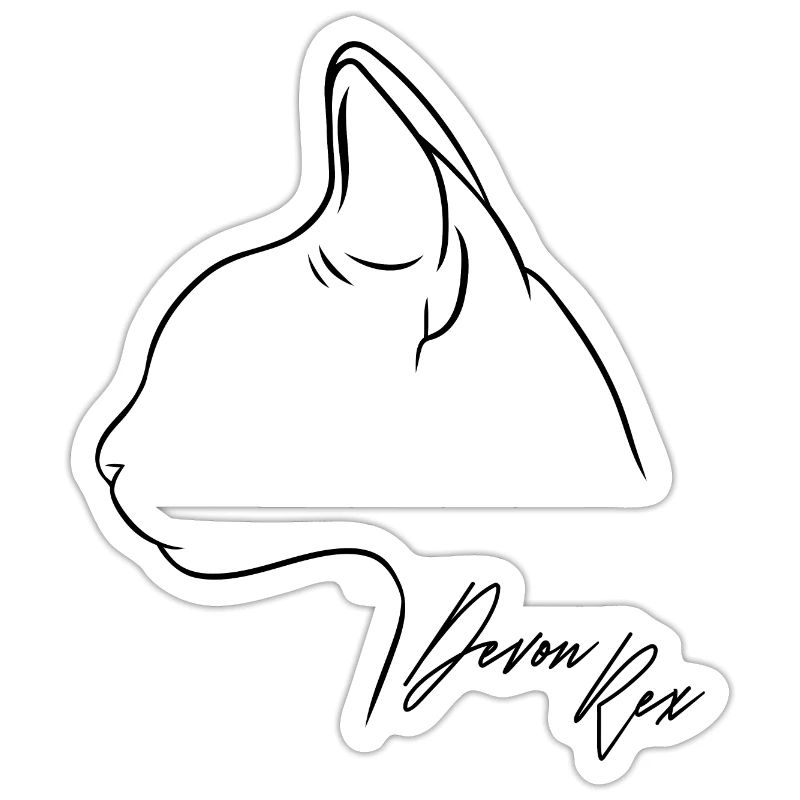 Devon Rex Profile Cat Cat Wilsigns