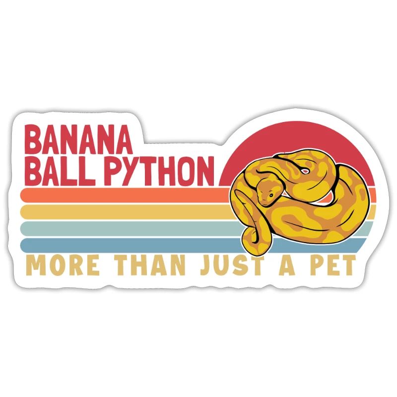 Banana Ball Python more than a Pet Python Banana