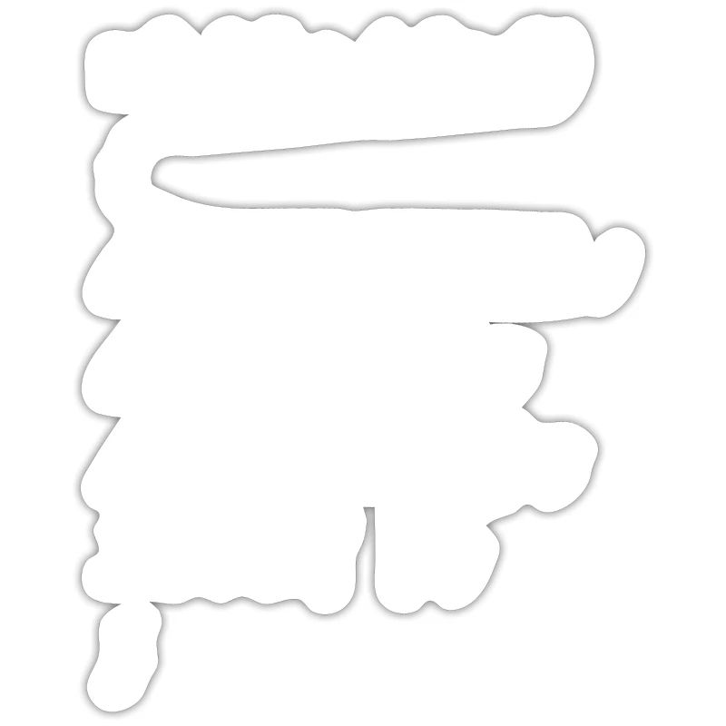 Programmeur Ordinateur Admin Codeur Développeur de logiciels