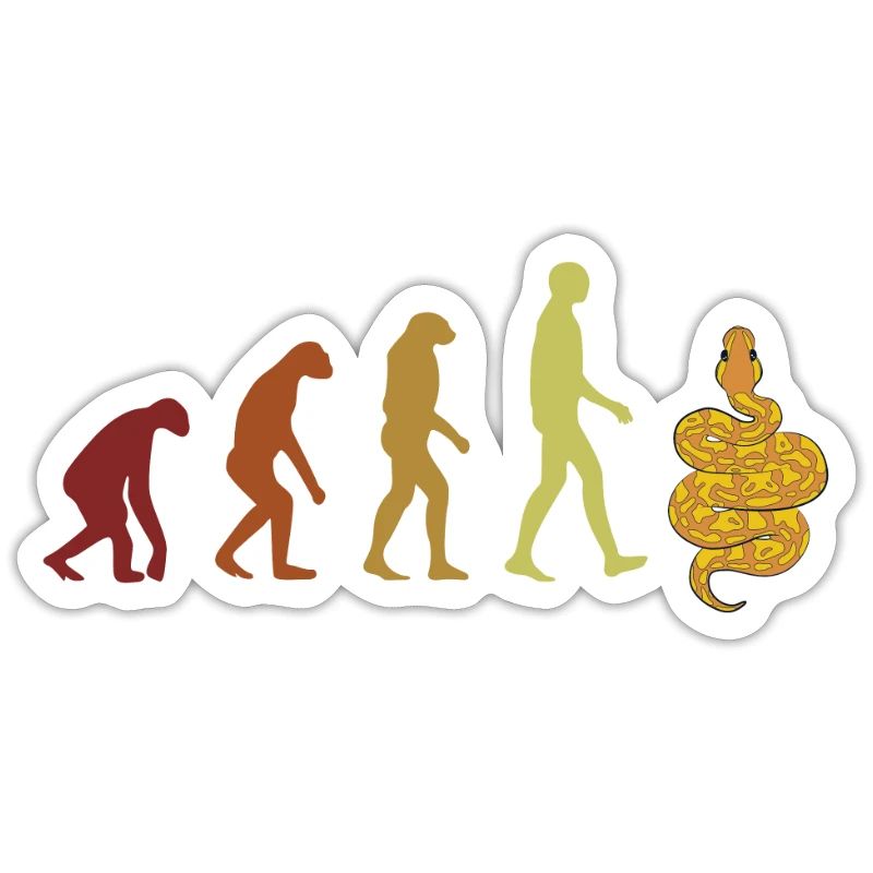 Banana Ball Python Evolution Python Banana Ball