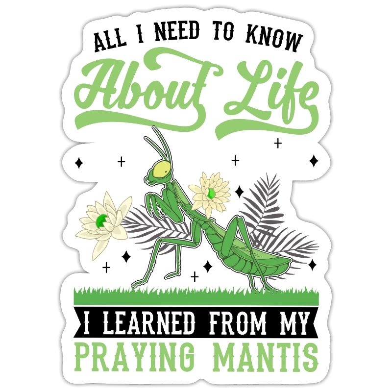 Praying mantis mantis mantis mantis
