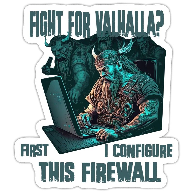 Firewall first Wikinger programmierer