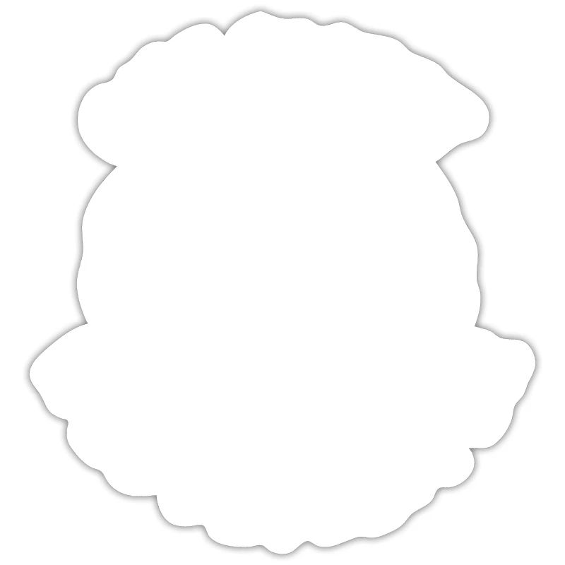 Web Entwickler Webdeveloper