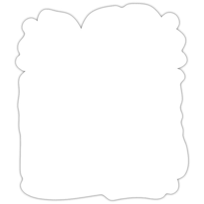 Web Developer Web Developer