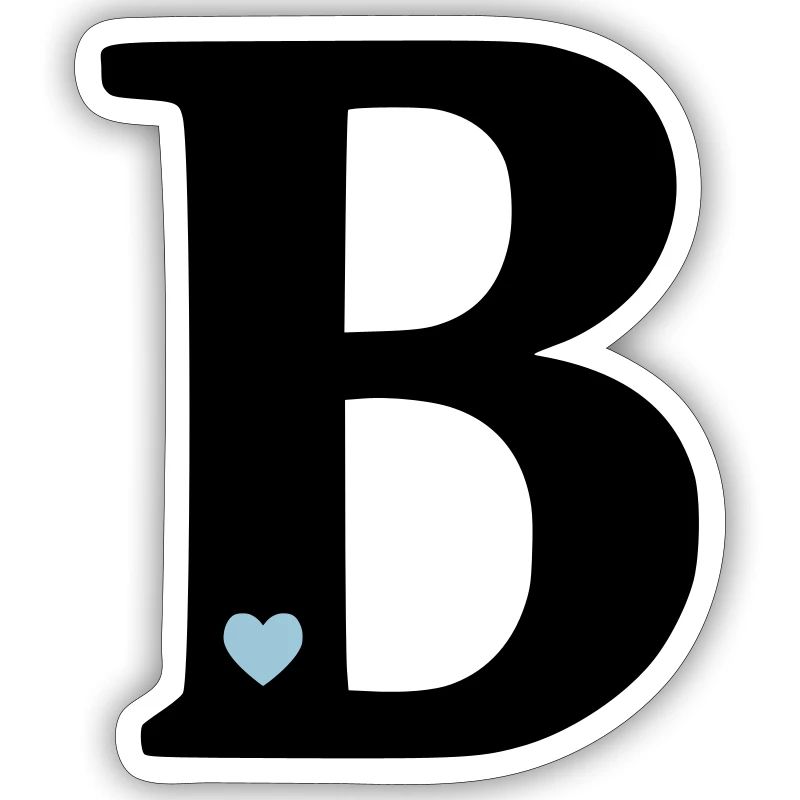 point (b) initial point