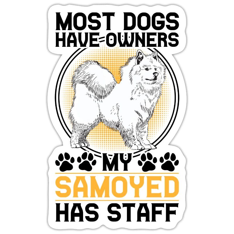 Samoyed has staff Samoyed Spitz