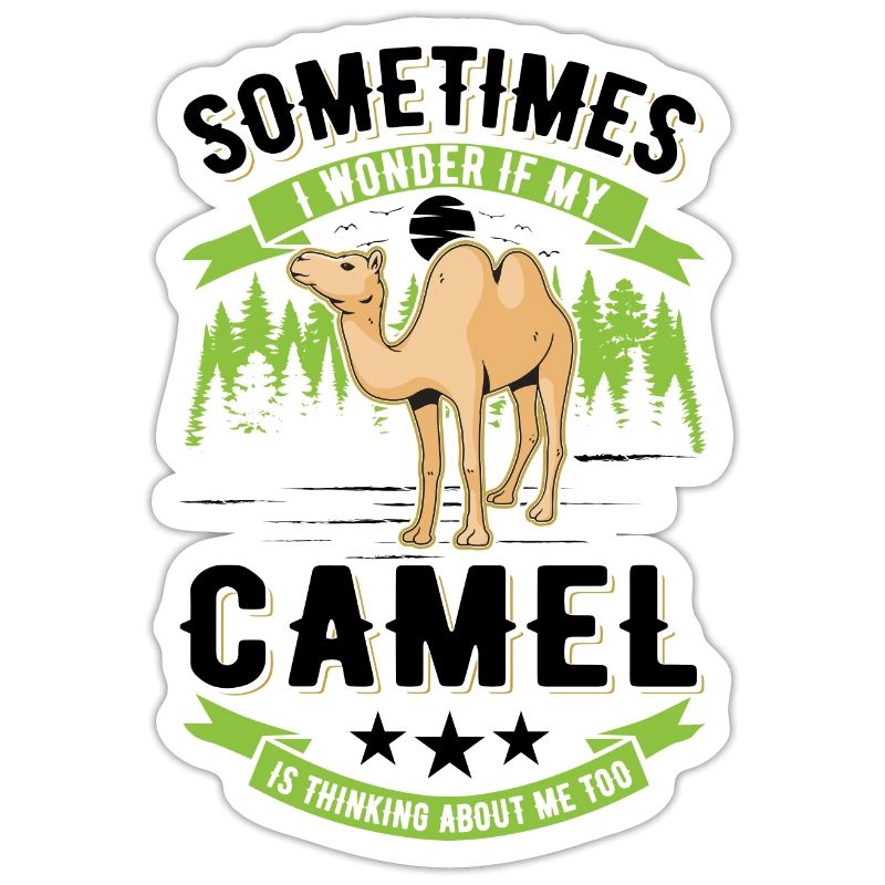 Kamel Geschenk Dromedar Camel Großkamel