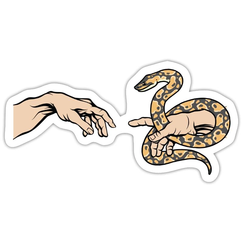 Python Amour Drôle Python Serpent