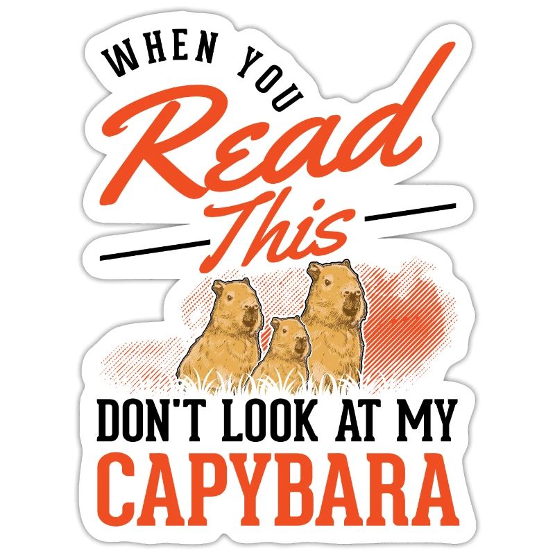 Capybara Gift Capibara Capybara