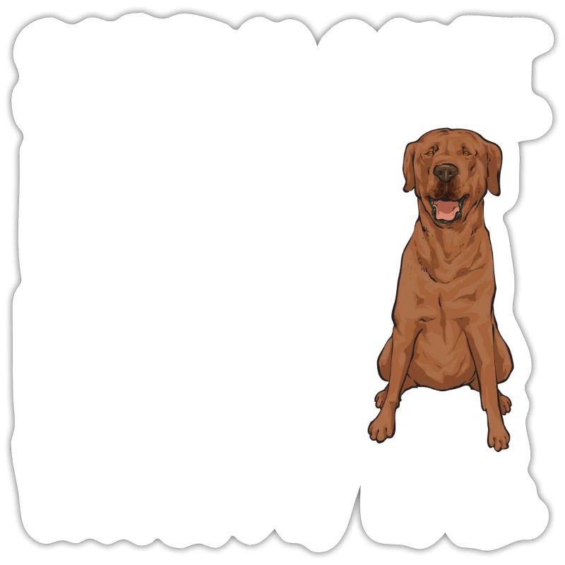 Foxred Labrador Fox Red Labrador Retriever