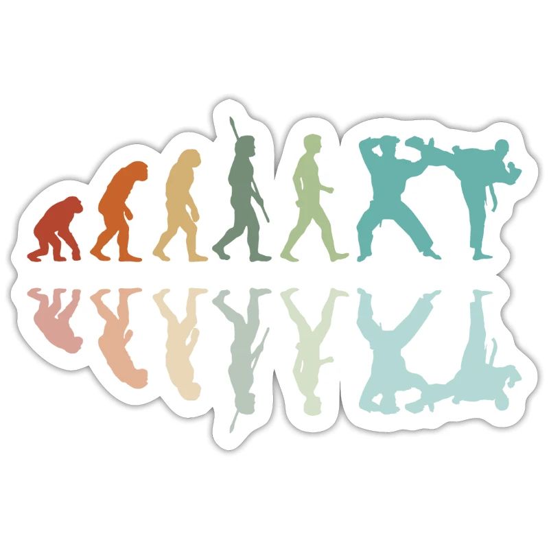Évolution Karaté
