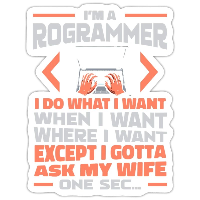 Entwickler Coder Programmierer