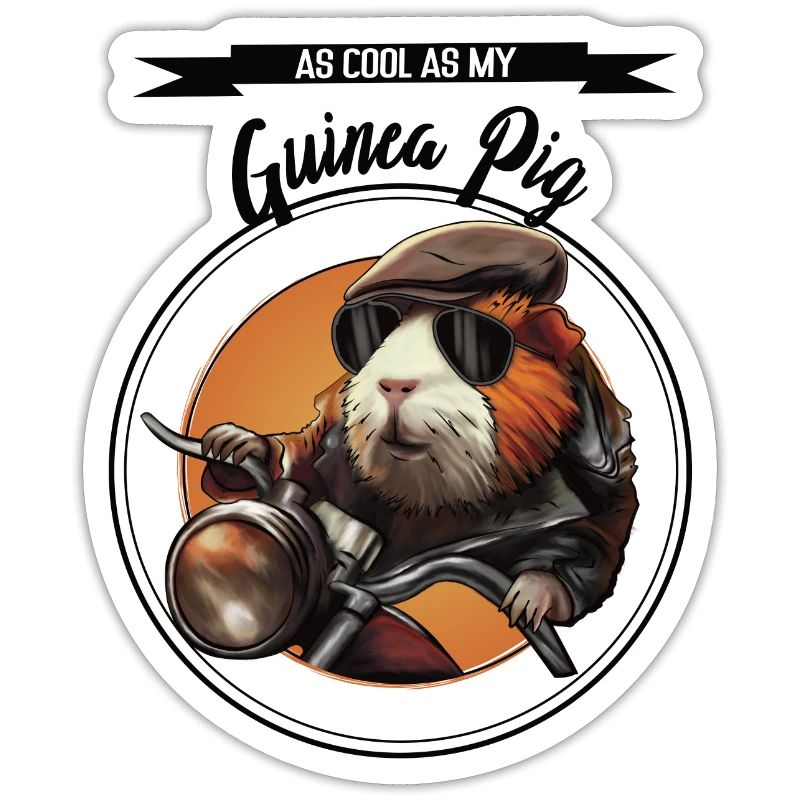 Cool guinea pig – statement design