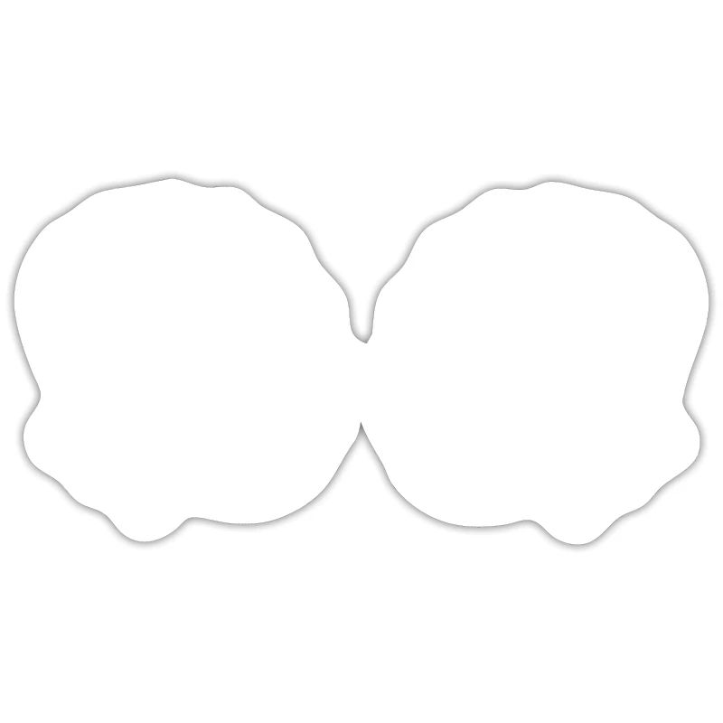 Muschel-BH BH Shell Shelling Bag Seashell