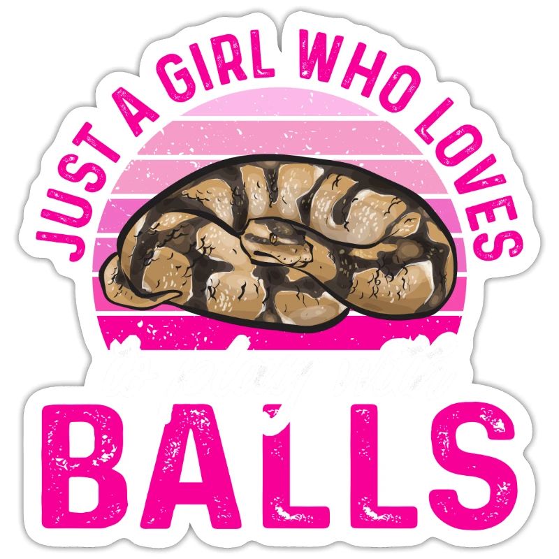 Ball Python Schlange Königspython