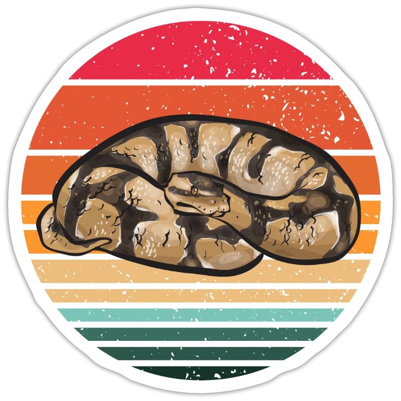 Ball Python Snake King Python