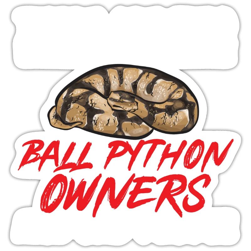 Ball Python Schlange Königspython