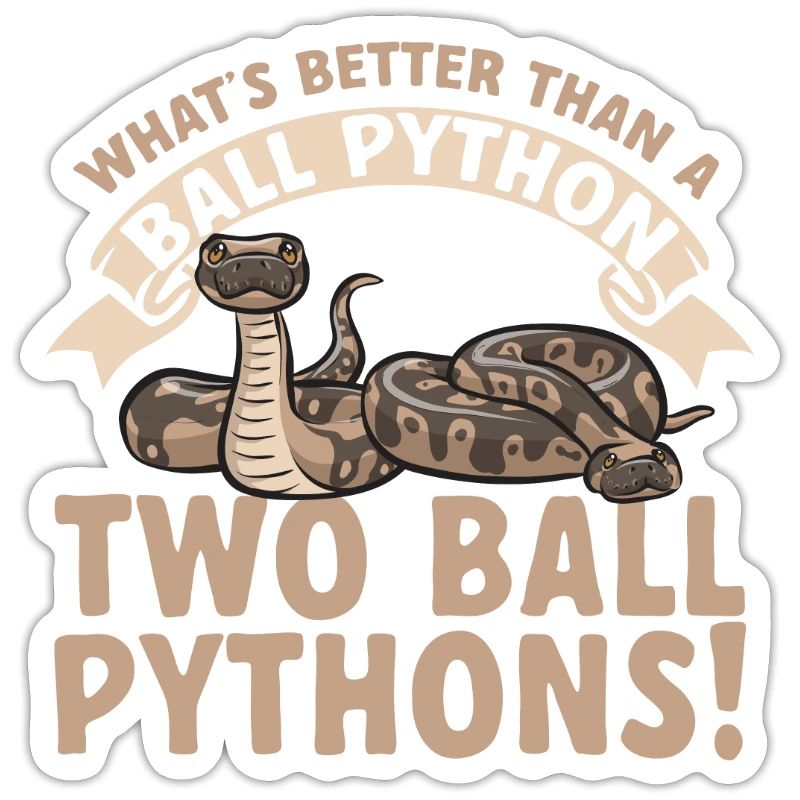 Ball Python Snake King Python