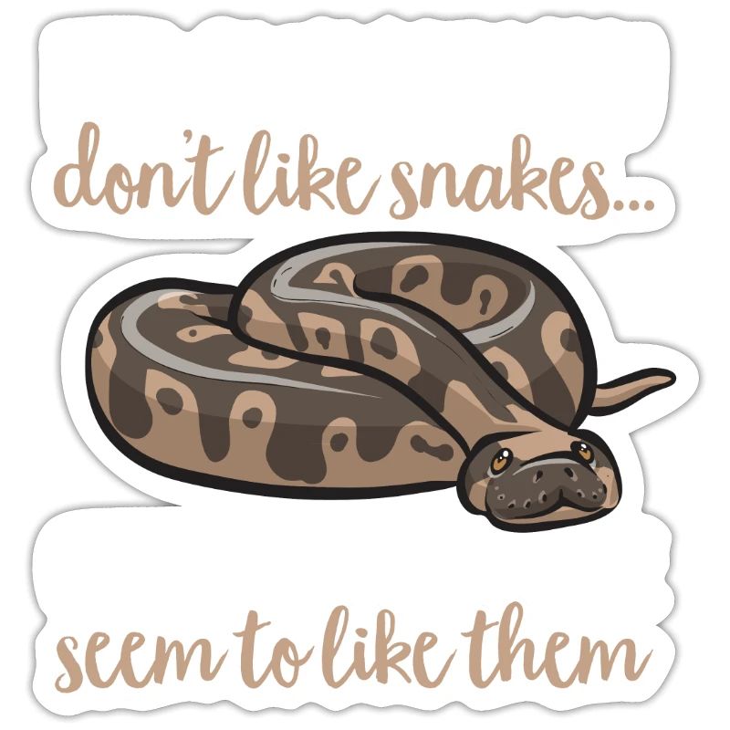 Ball Python Schlange Königspython