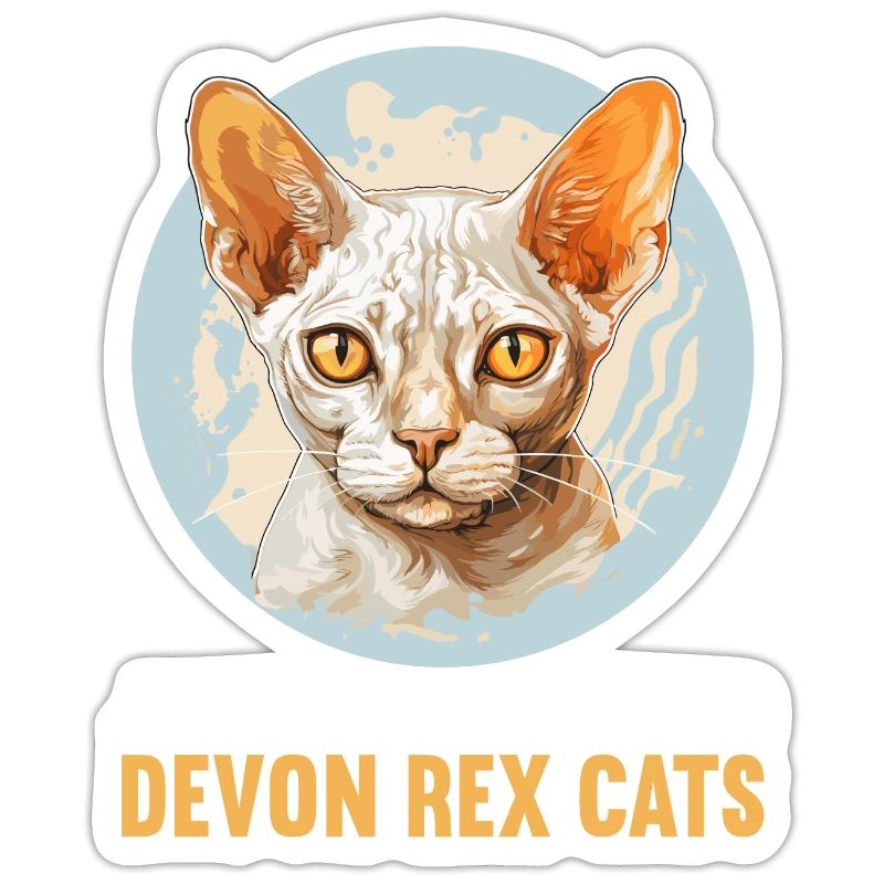Chaton Devon Rex Chat Devon Rex