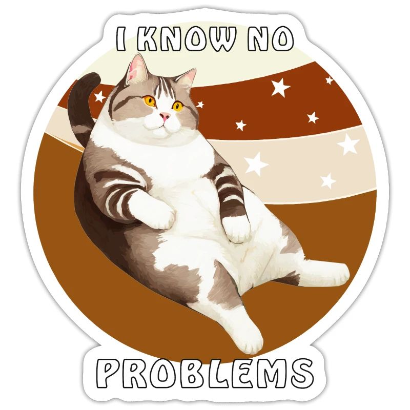 CAT I KNOW NO PROBLEMS