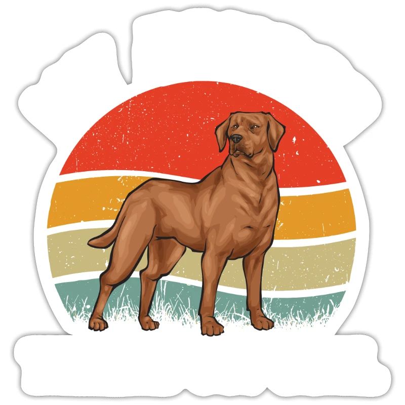 Fuchsroter Labrador Retriever Fox Red Labrador